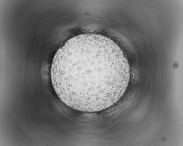 X0000102811346200809150942