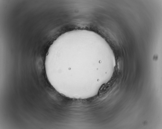 X0000102811347200809150942