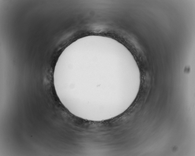 X0000102811349200809150942