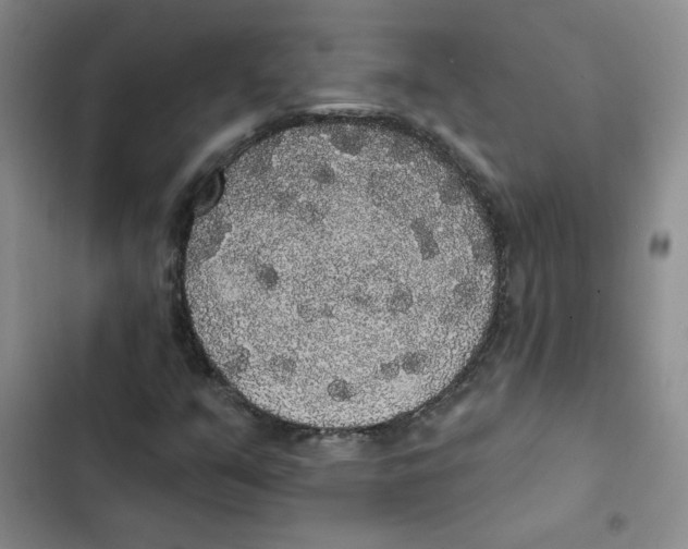 X0000102811351200809150942