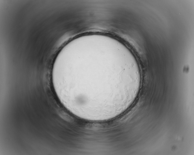 X0000102811355200809150942