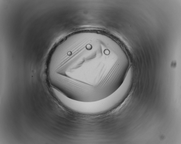 X0000102811357200809150942