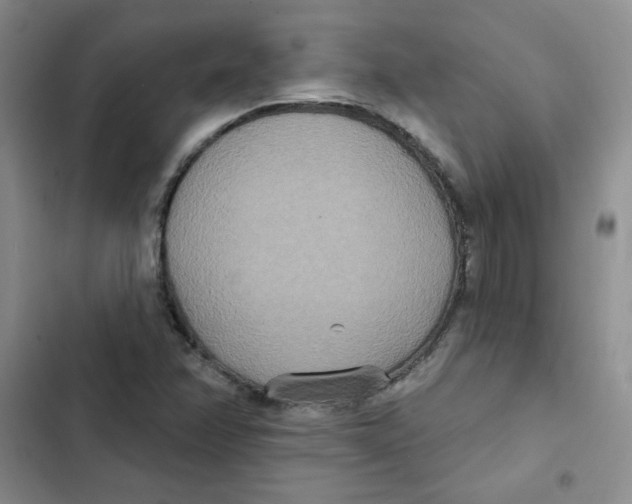 X0000102811358200809150942