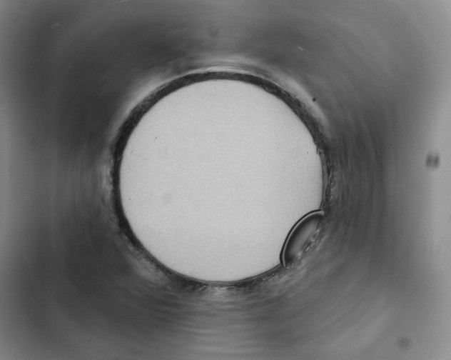 X0000102811360200809150942