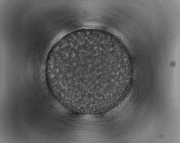 X0000102811362200809150942