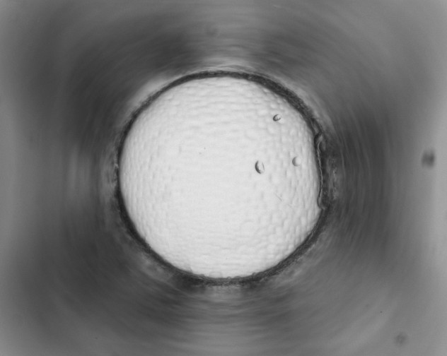 X0000102811363200809150942