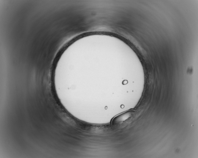 X0000102811364200809150942