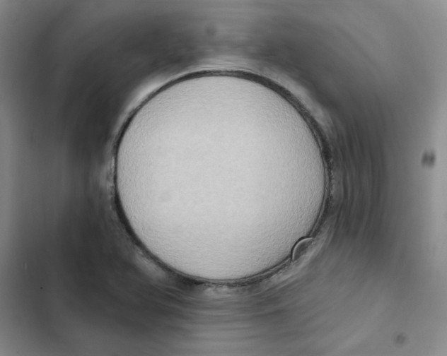 X0000102811366200809150942