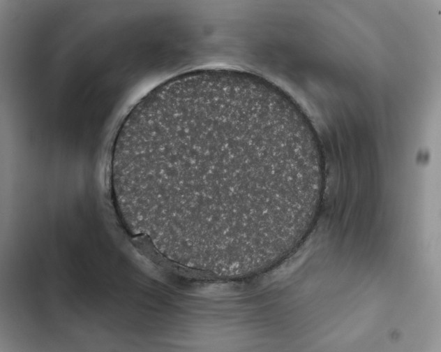 X0000102811367200809150942