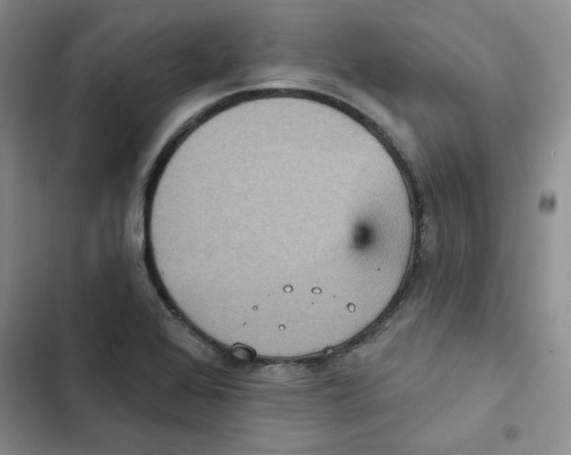 X0000102811368200809150942