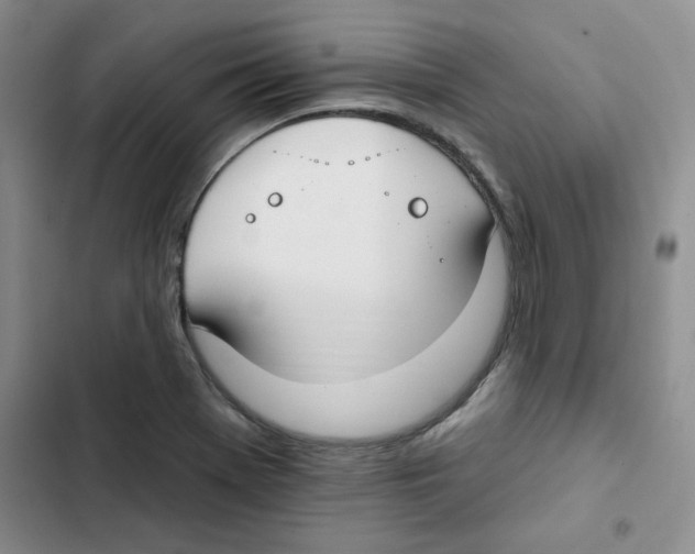 X0000102811369200809150942