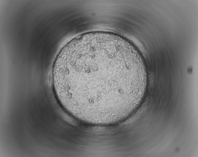 X0000102811371200809150942