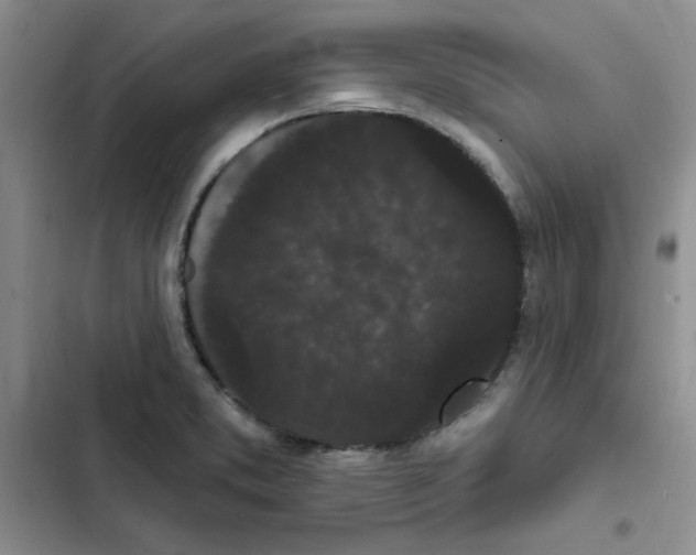 X0000102811373200809150942