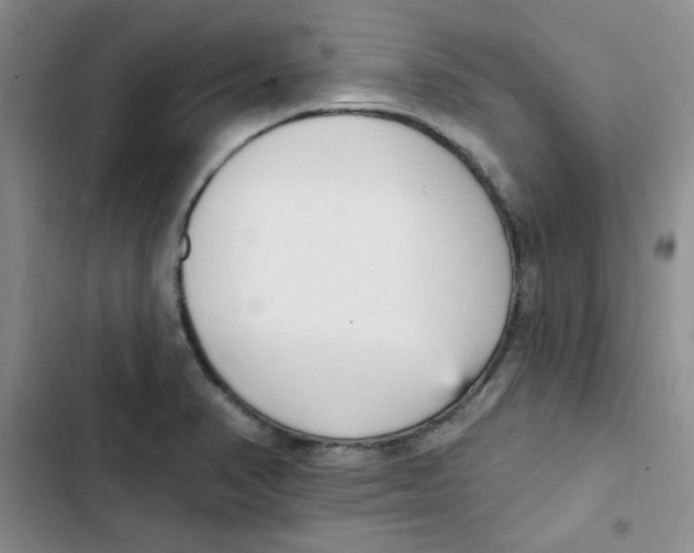 X0000102811374200809150942