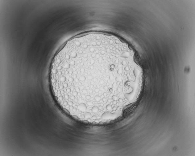 X0000102811375200809150942