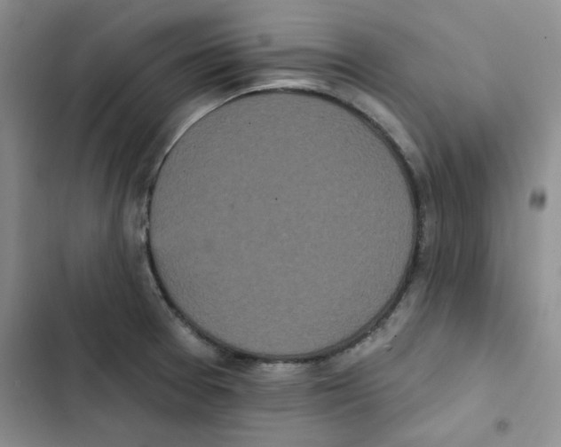 X0000102811377200809150942