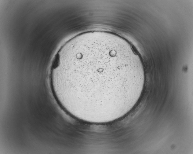 X0000102811379200809150942