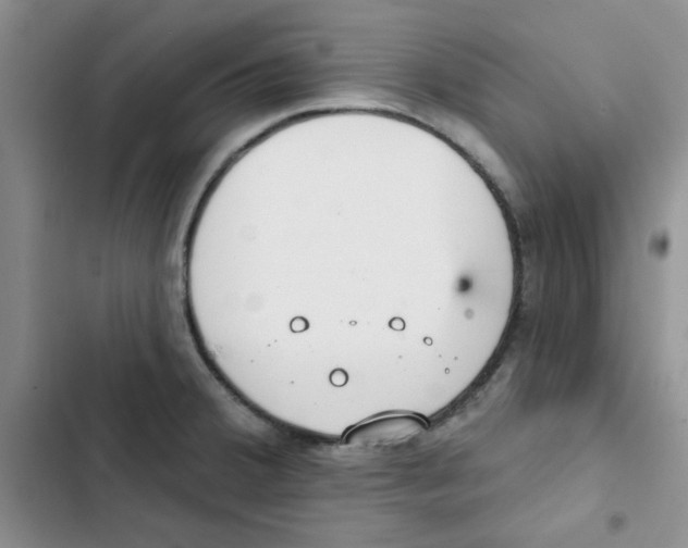 X0000102811380200809150942