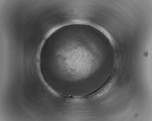 X0000102811381200809150942