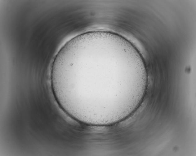 X0000102811382200809150942