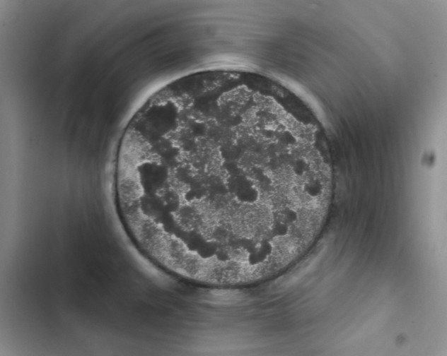 X0000102811383200809150942