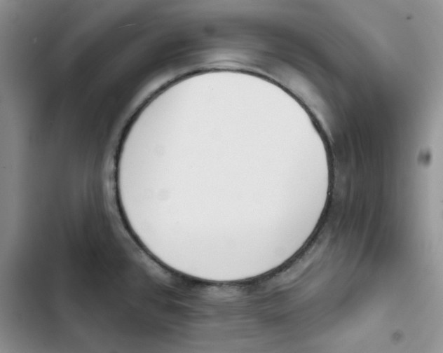 X0000102811384200809150942