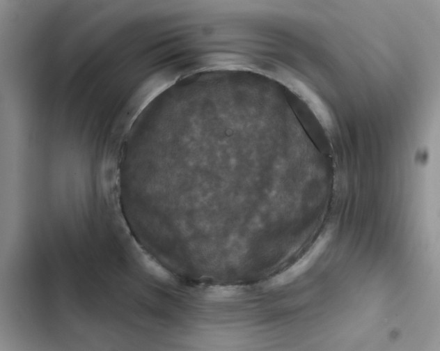 X0000102811385200809150942