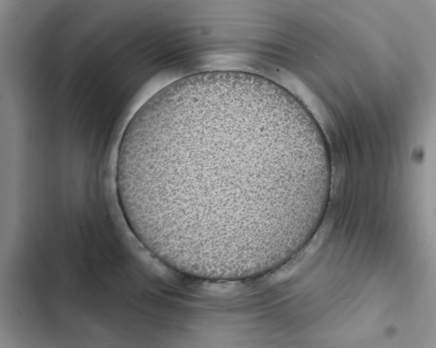 X0000102811386200809150942