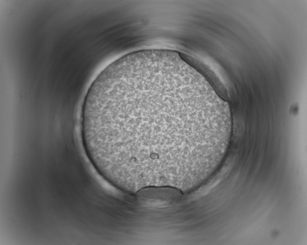 X0000102811387200809150942