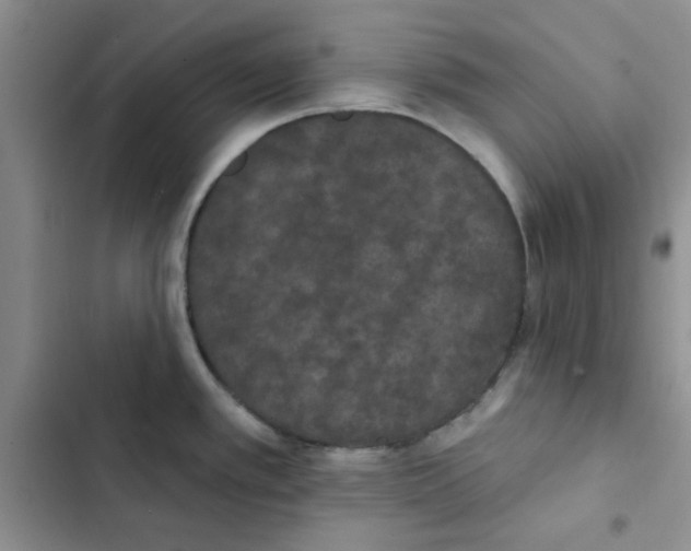 X0000102811389200809150942