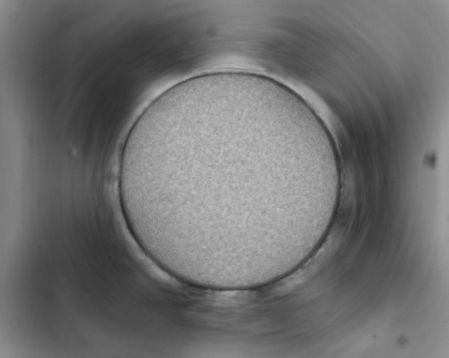 X0000102811390200809150942