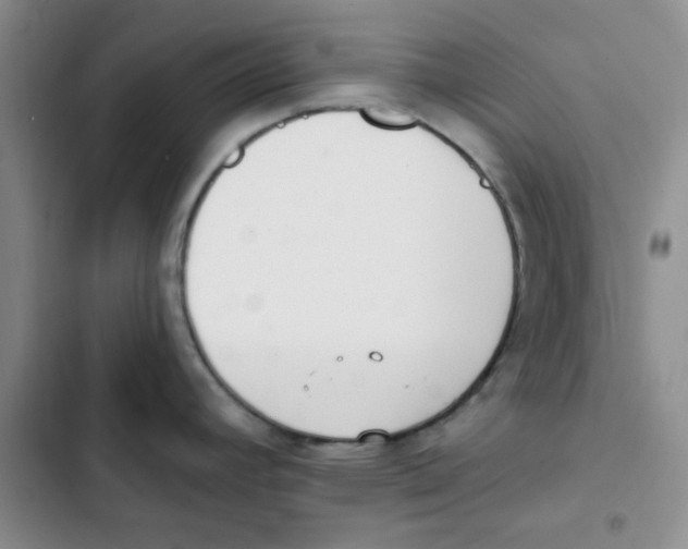 X0000102811392200809150942