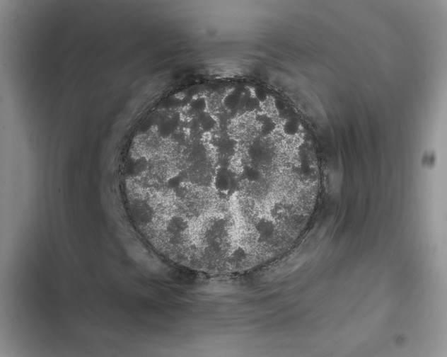 X0000102811393200809150941