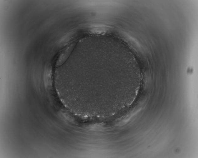 X0000102811394200809150941