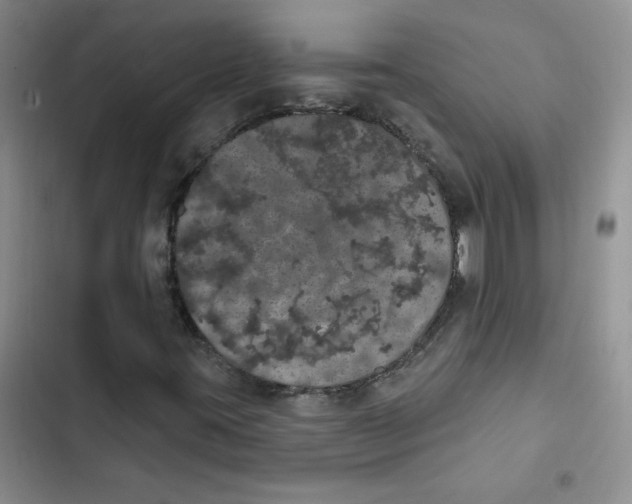 X0000102811395200809150941