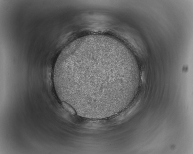 X0000102811396200809150941