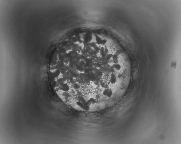 X0000102811397200809150941