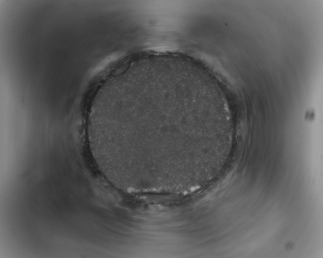 X0000102811398200809150941