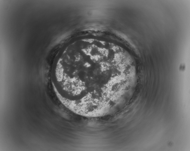 X0000102811399200809150941