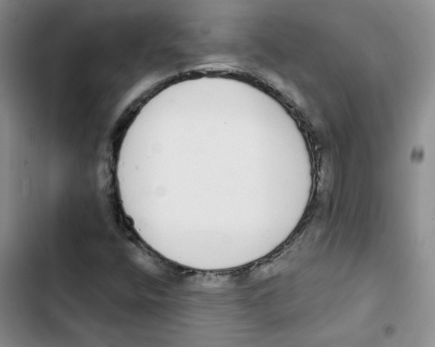 X0000102811400200809150941