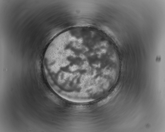 X0000102811401200809150941