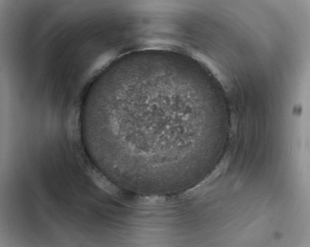 X0000102811403200809150941