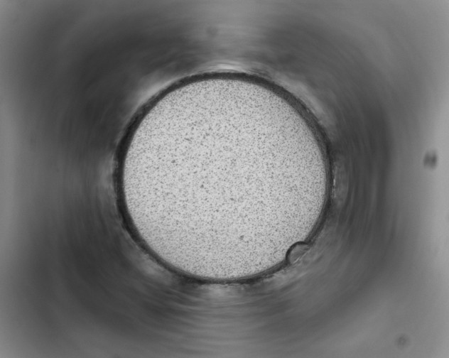 X0000102811404200809150941