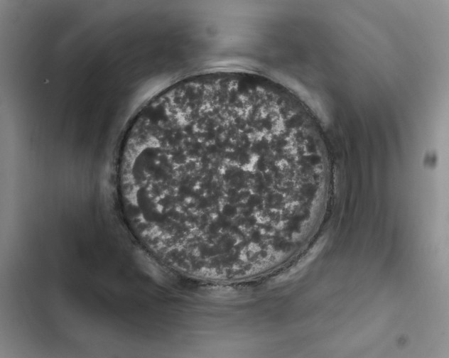 X0000102811405200809150941