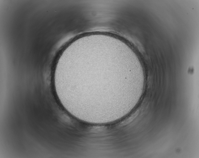 X0000102811406200809150941