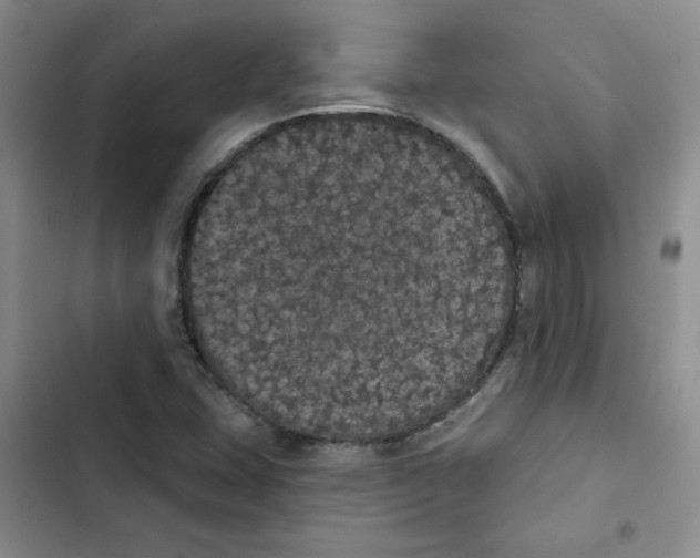 X0000102811407200809150941