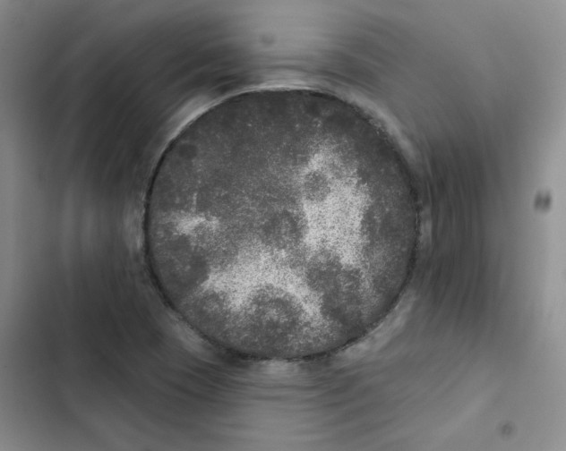 X0000102811409200809150941