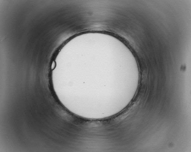 X0000102811410200809150941