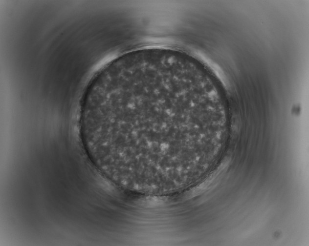 X0000102811411200809150941