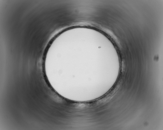 X0000102811412200809150941